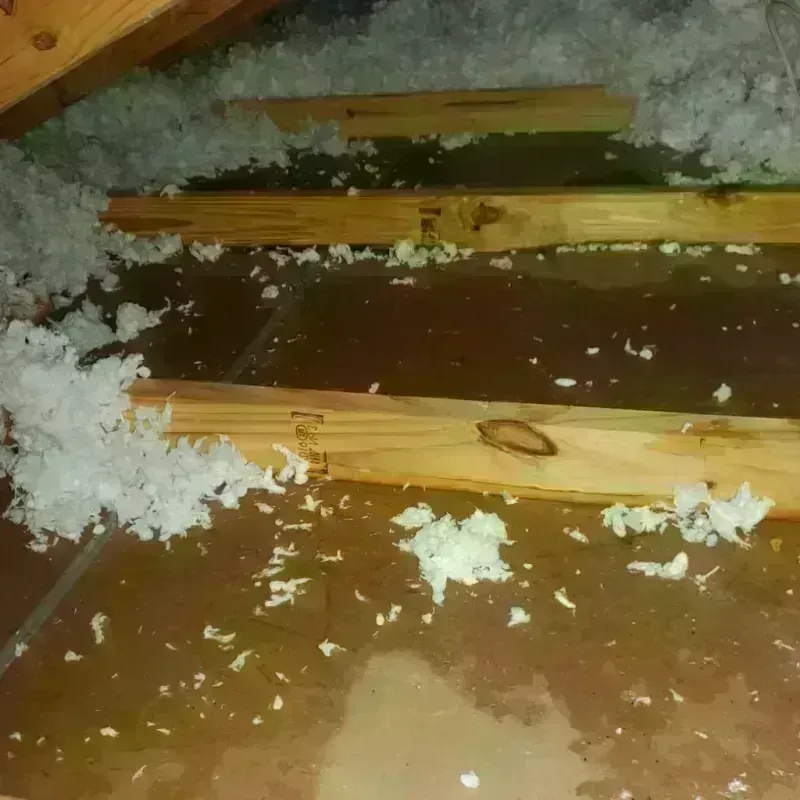 Attic Water Damage in Burkesville, KY